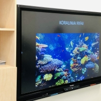 Image3