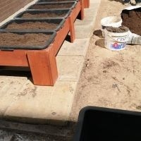 thumbs_123-1