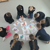Foto-4