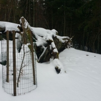20190202_124408
