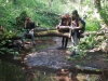 dofe-11