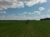 dofe-13