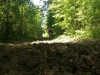 dofe-14
