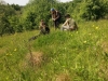 dofe-15