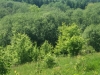 dofe-18