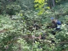 dofe-21