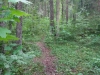dofe-27
