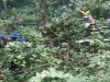 dofe-3