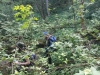 dofe-5