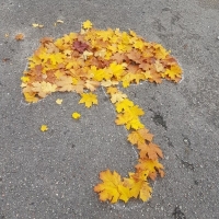 20191010_151818