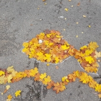 20191010_152247