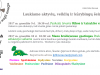 visikartu_zuikiai_fbevent_paskaitos9-10