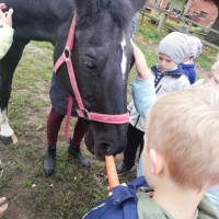 Eksk.-4