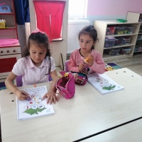 IMG_20230605_104424