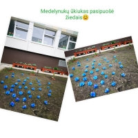 IMG_20210531_103008