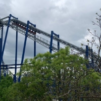 36