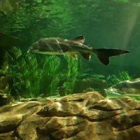 20190523_142513