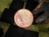 sam_0092