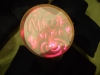 sam_0099