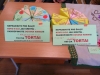 sam_0424