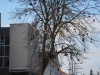 sam_0505