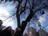 sam_0509