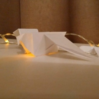 ema-lukauskaite-5b-Custom