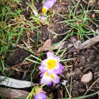 IMG_20200317_133059
