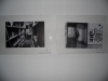 sam_0132