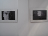sam_0175