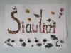 sam_4559