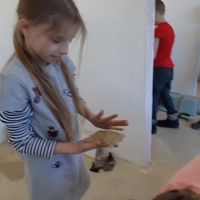 20190228_101412