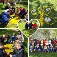 3a-pienes1