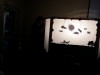 20181115_120512