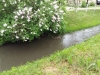 20170605_104148