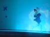 sam_0093