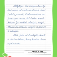 Dailyrascio-paroda-Graziausi-zodziai-Tau-Mokytojau-2026_Page_010