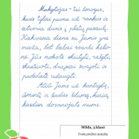 Dailyrascio-paroda-Graziausi-zodziai-Tau-Mokytojau-2026_Page_011