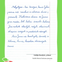 Dailyrascio-paroda-Graziausi-zodziai-Tau-Mokytojau-2026_Page_020