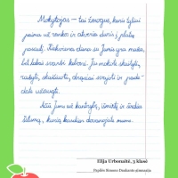 Dailyrascio-paroda-Graziausi-zodziai-Tau-Mokytojau-2026_Page_031