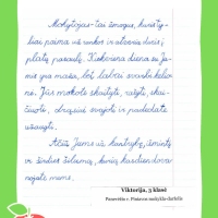 Dailyrascio-paroda-Graziausi-zodziai-Tau-Mokytojau-2026_Page_043