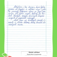 Dailyrascio-paroda-Graziausi-zodziai-Tau-Mokytojau-2026_Page_047