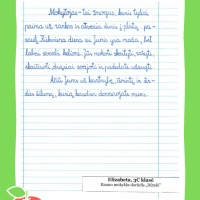 Dailyrascio-paroda-Graziausi-zodziai-Tau-Mokytojau-2026_Page_055
