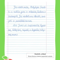 Dailyrascio-paroda-Graziausi-zodziai-Tau-Mokytojau-2026_Page_056