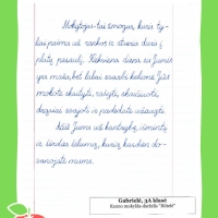 Dailyrascio-paroda-Graziausi-zodziai-Tau-Mokytojau-2026_Page_057