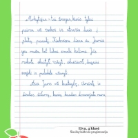 Dailyrascio-paroda-Graziausi-zodziai-Tau-Mokytojau-2026_Page_060