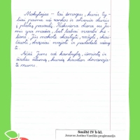 Dailyrascio-paroda-Graziausi-zodziai-Tau-Mokytojau-2026_Page_062
