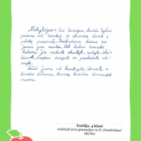 Dailyrascio-paroda-Graziausi-zodziai-Tau-Mokytojau-2026_Page_069