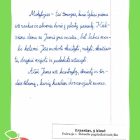 Dailyrascio-paroda-Graziausi-zodziai-Tau-Mokytojau-2026_Page_100