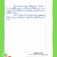 Dailyrascio-paroda-Graziausi-zodziai-Tau-Mokytojau-2026_Page_103